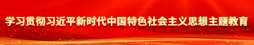 操逼视屏学习贯彻习近平新时代中国特色社会主义思想主题教育