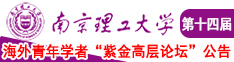 搞级毛片黄片aa南京理工大学第十四届海外青年学者紫金论坛诚邀海内外英才！